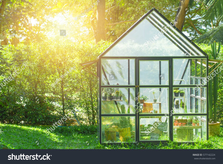 stock-photo-green-house-in-the-home-garden-planting-cactus-nursery-577142224