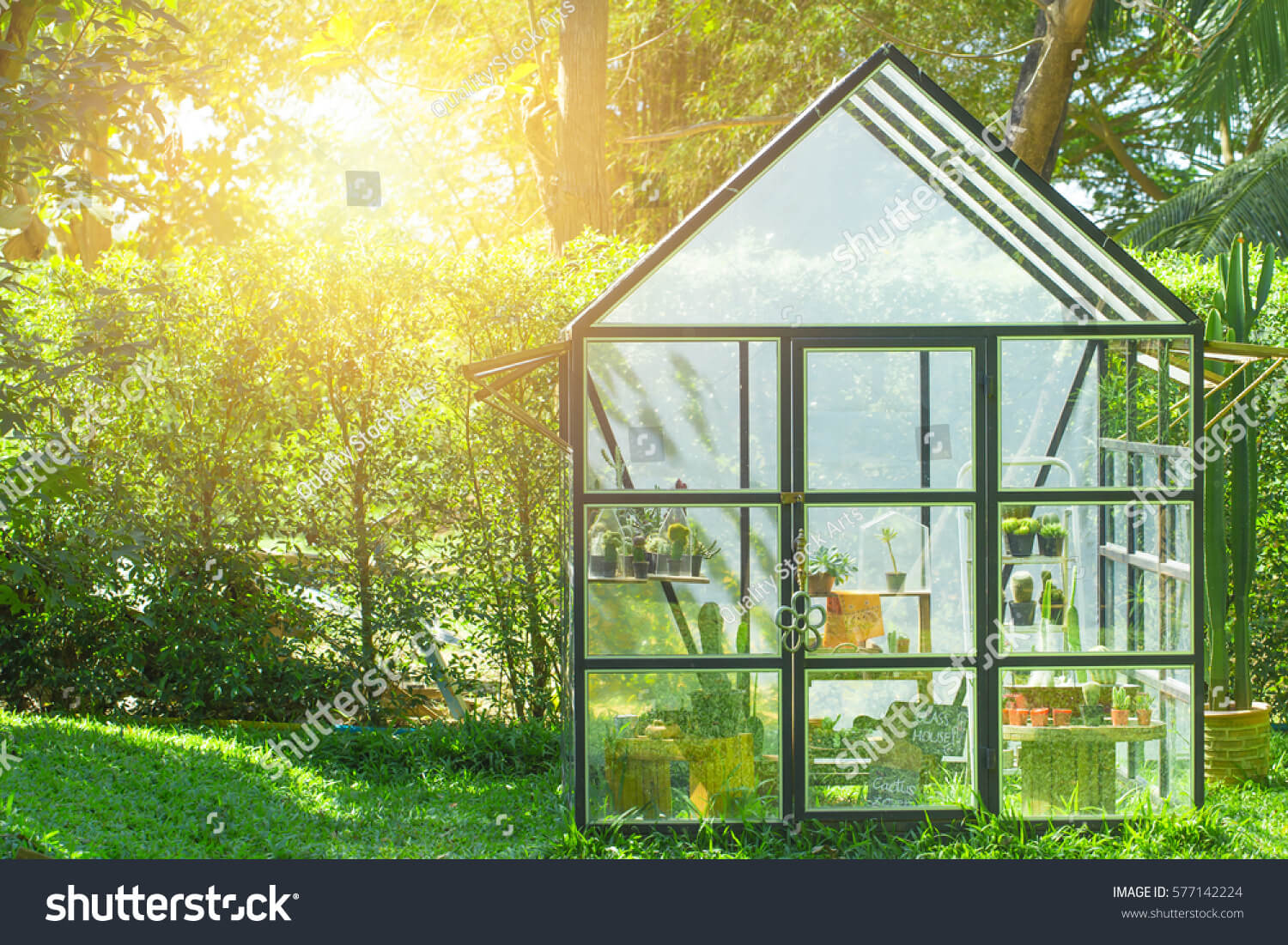 stock-photo-green-house-in-the-home-garden-planting-cactus-nursery-577142224
