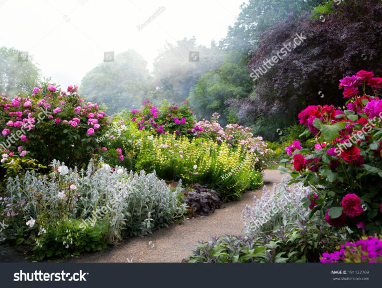 stock-photo-art-flowers-in-the-morning-in-an-english-park-191122769